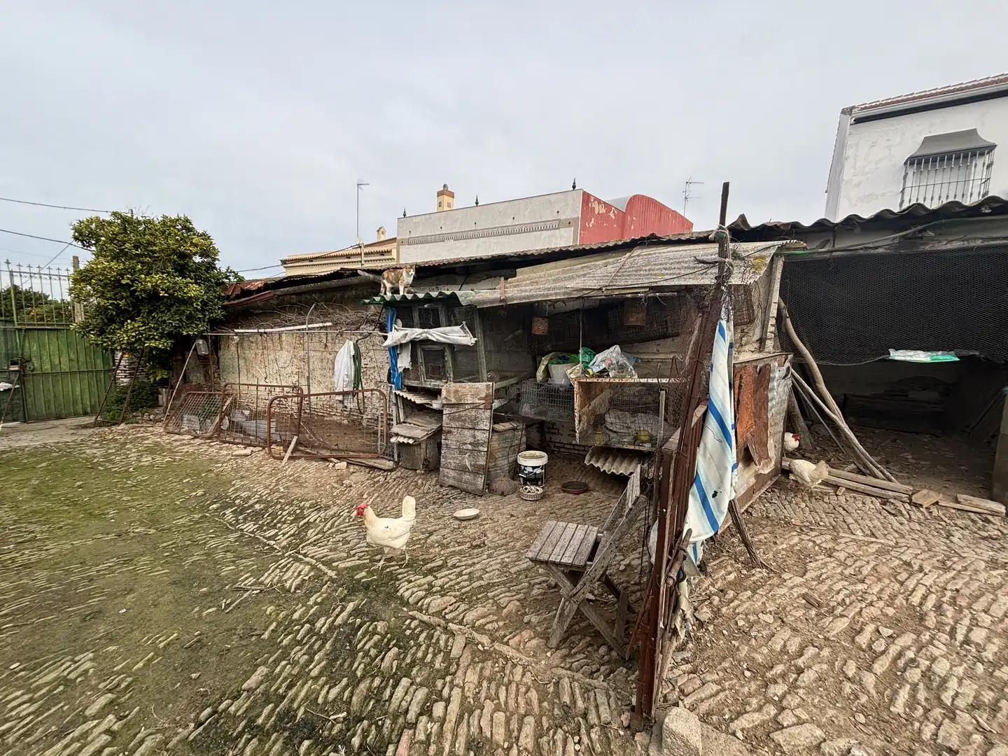Terreno residencial en venta en Salteras, imagen 8