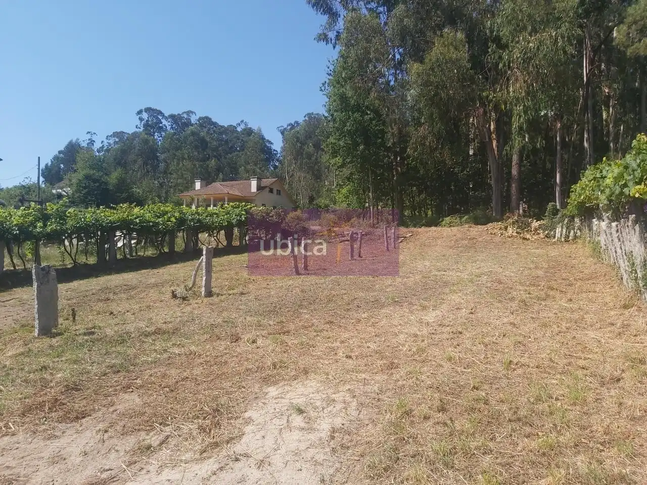 Lands and plots for sale in Salceda de Caselas, imagen 12