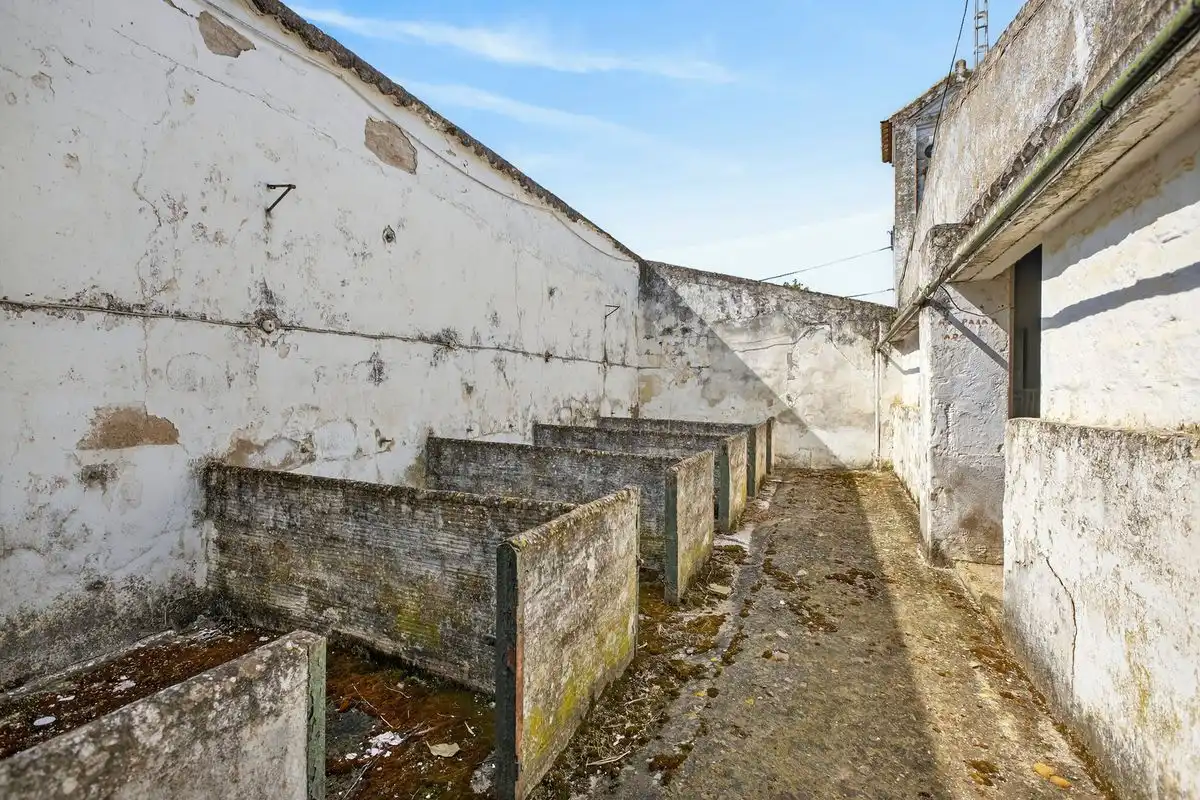 Finca rústica en venta en C. Pablo Picasso, Lora del Río
