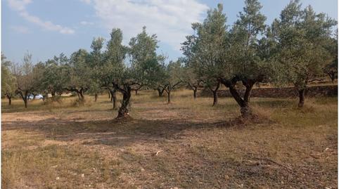 Photo 5 of Country house for sale in Altura, Castellón