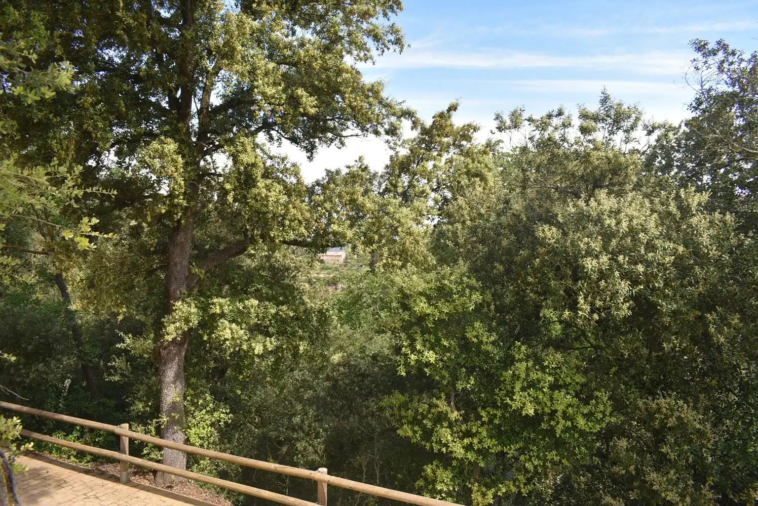Jardín de Finca rústica en venta en Granera con Terraza, Balcón y Internet