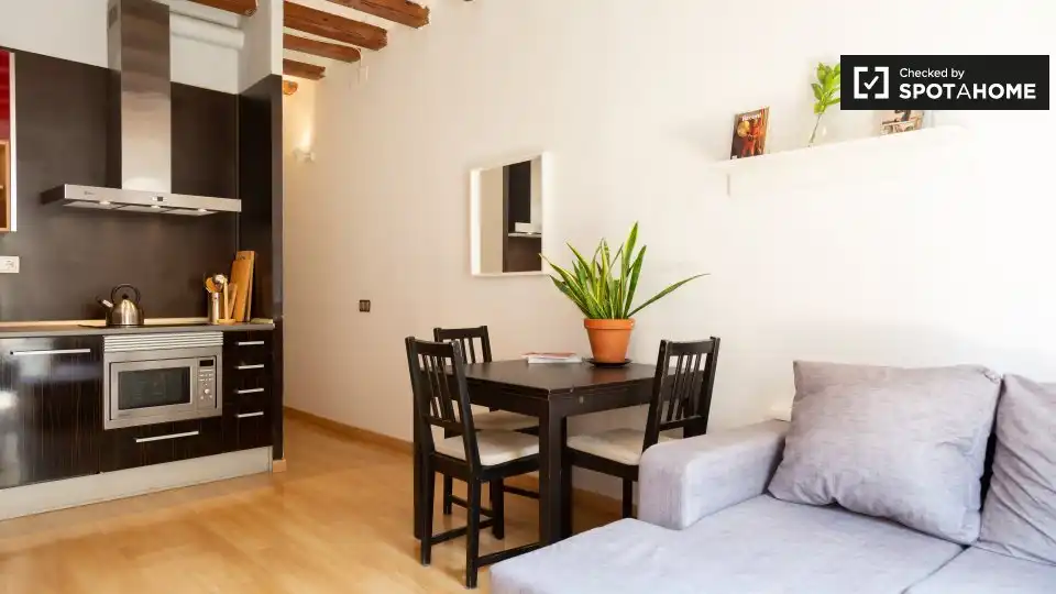 Piso con terraza en alquiler en Ciutat Vella, imagen 3
