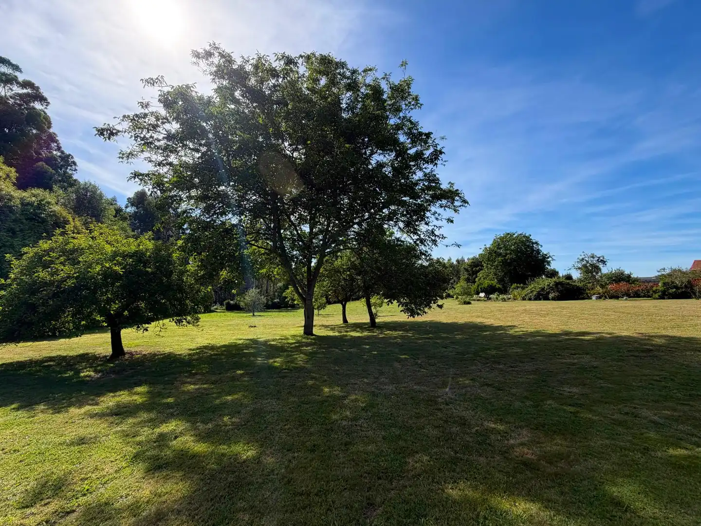 Land for sale in Fene
