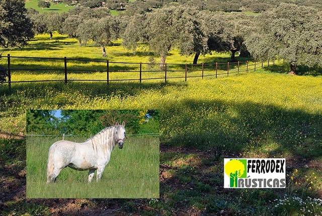 Terreno en Venta en Ceres Golf