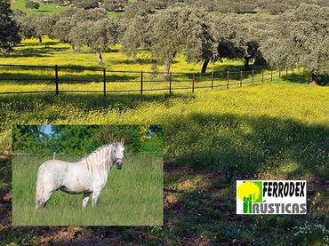 Terreno rustico in vendita a Ceres Golf