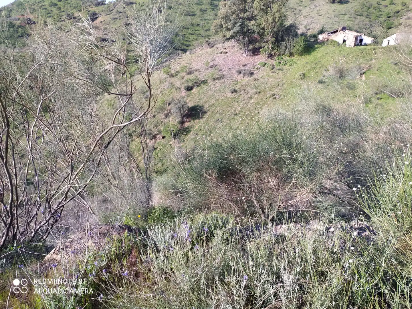 Rural land for sale in Nueva Aljaima - Las Tres Leguas - Los Mondeños, imagen 4