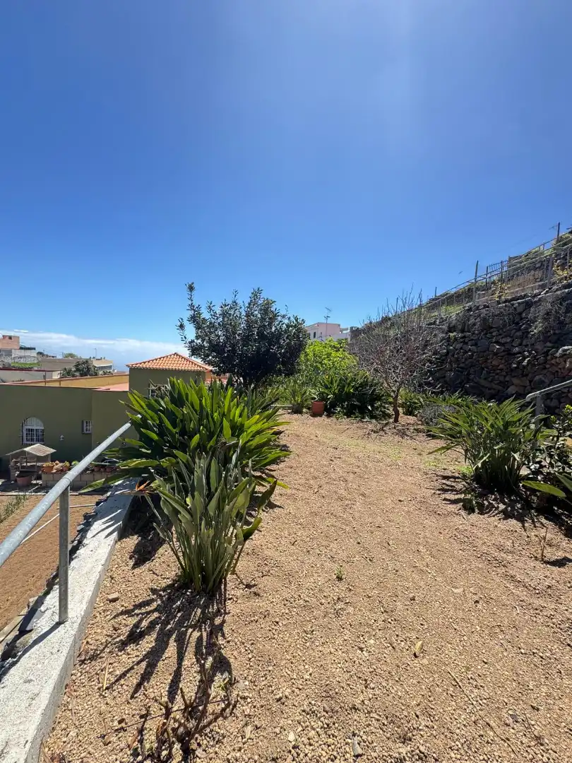 Casa o xalet en venda a Fasnia