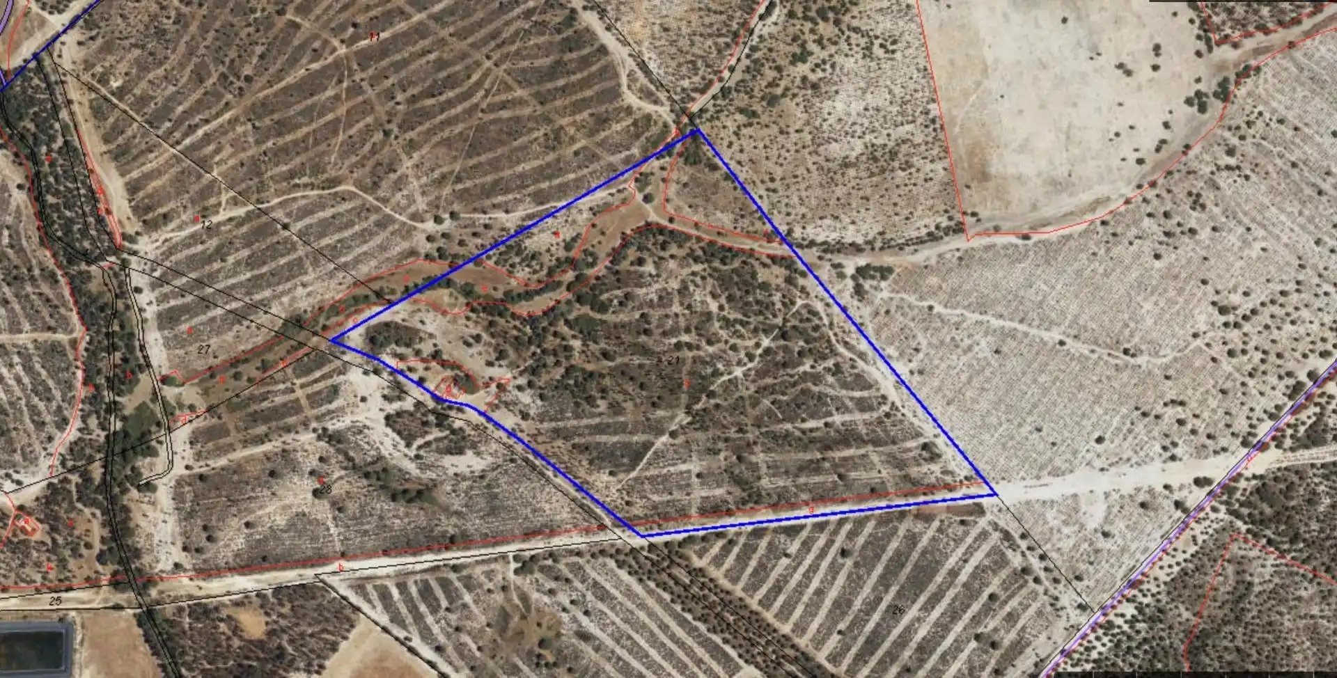 Casa rústica amb jardí en venda a Almonte ciudad, imagen 34