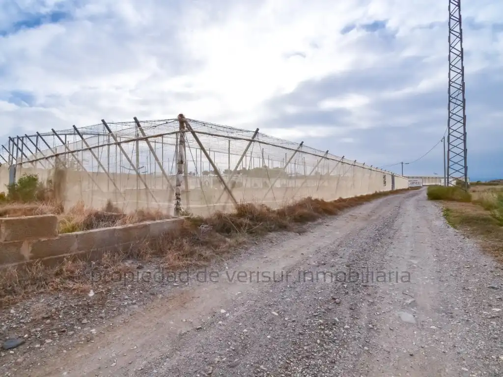 Terreno residencial en venta en Las Lomas - Las Yucas, imagen 5