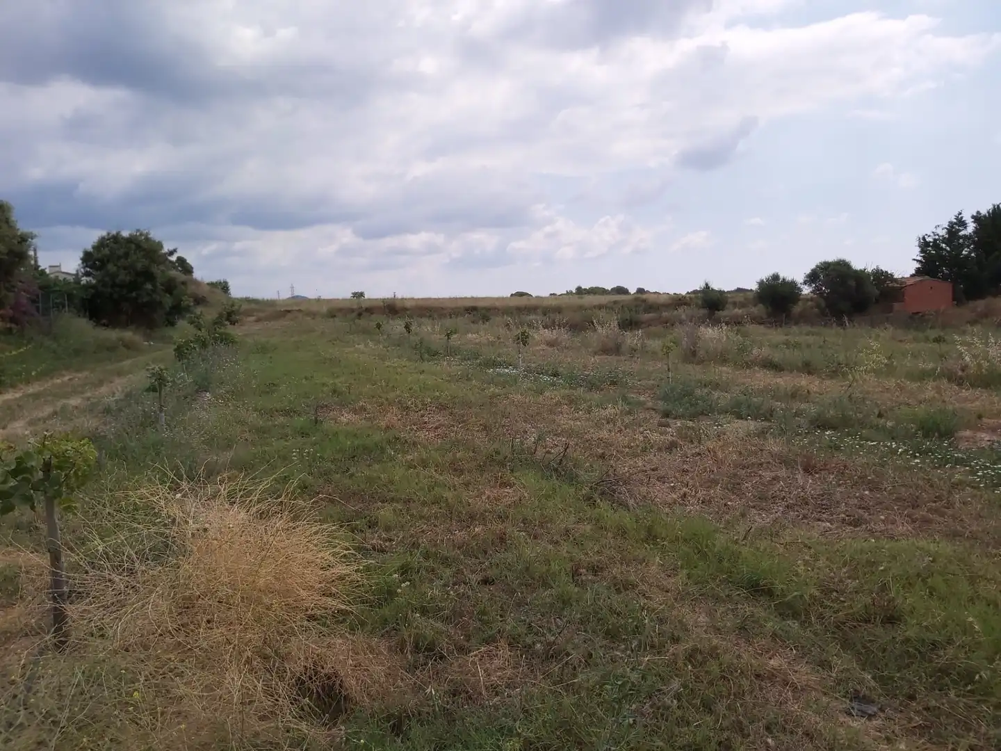 Terreno en venta en Riudecols