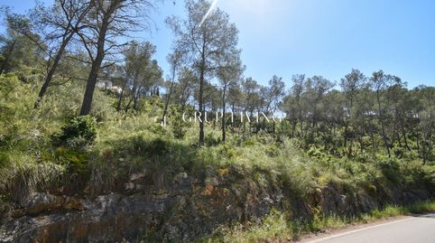 TERRENO EN MAS MESTRE, OLIVELLA, immagine 2