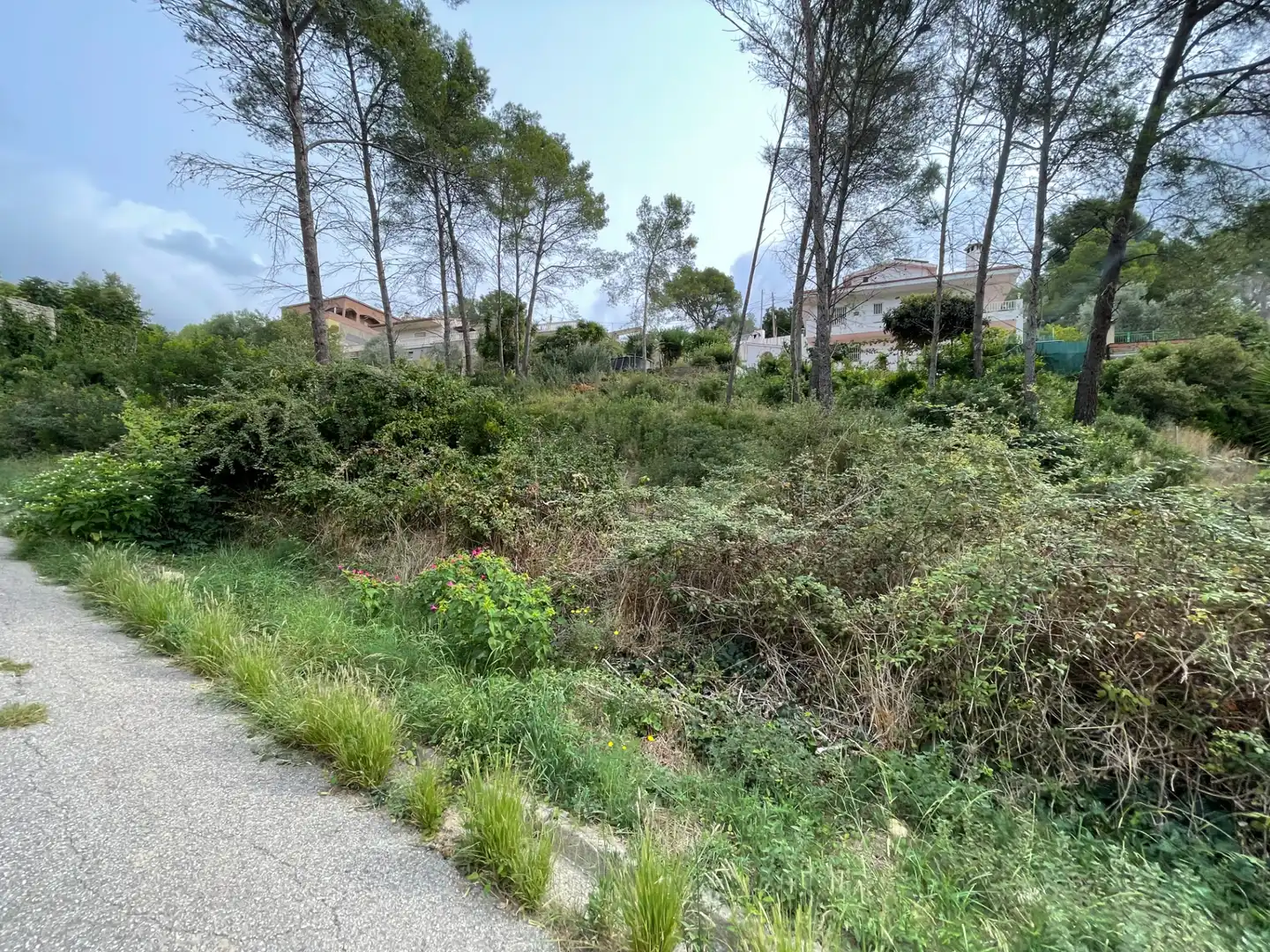 Terreny residencial en venda a Carrer de l'Alzina 25, imagen 6