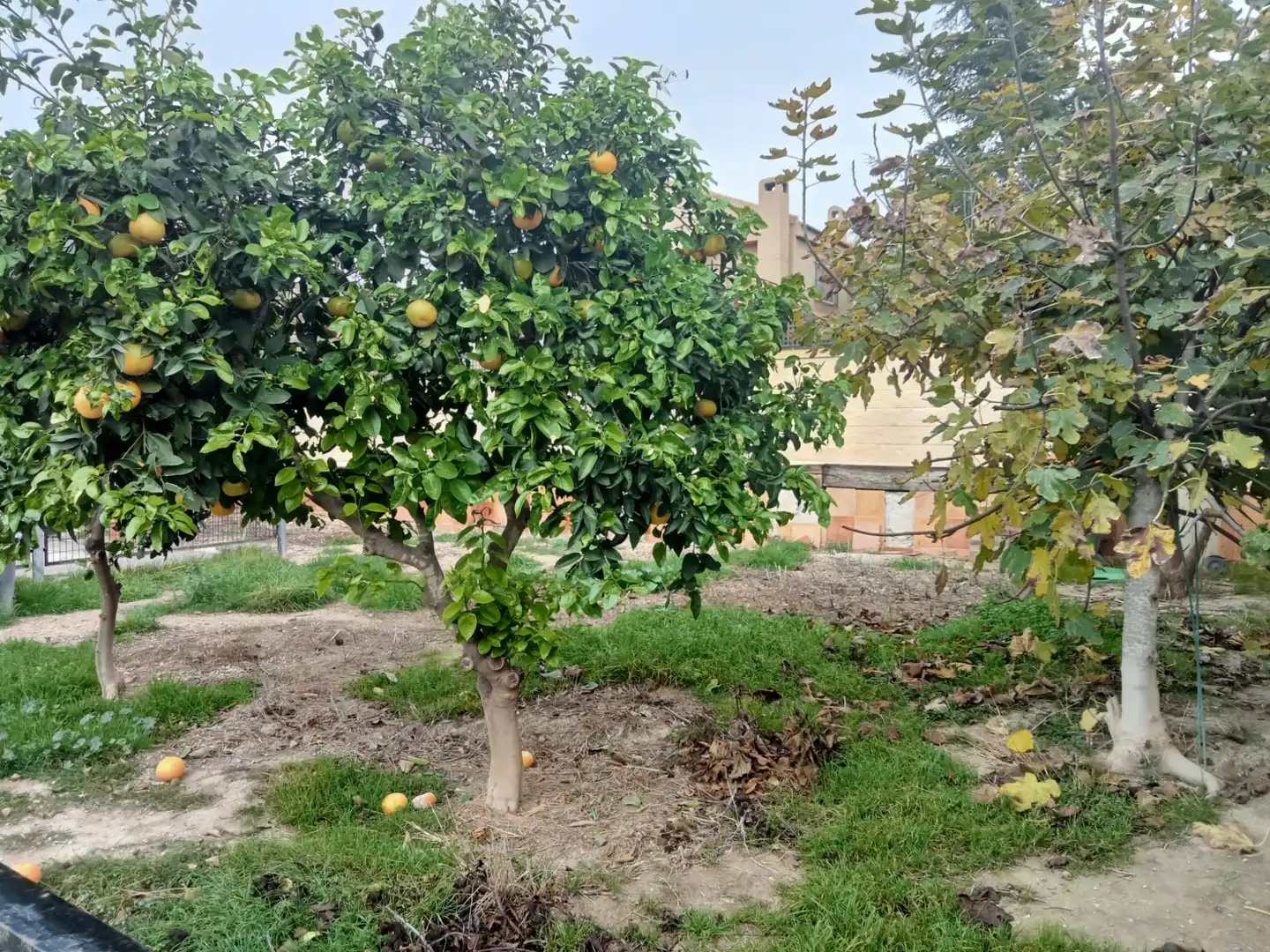 Houses for sale in Molina de Segura  with Air Conditioner, Heating and Private garden