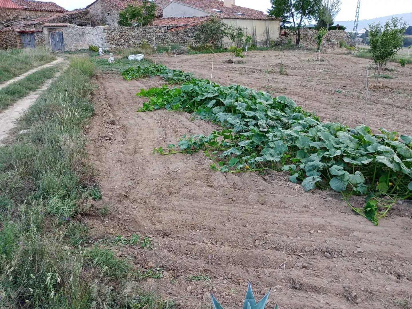 House for sale in Alameda la Almeza 29, imagen 8