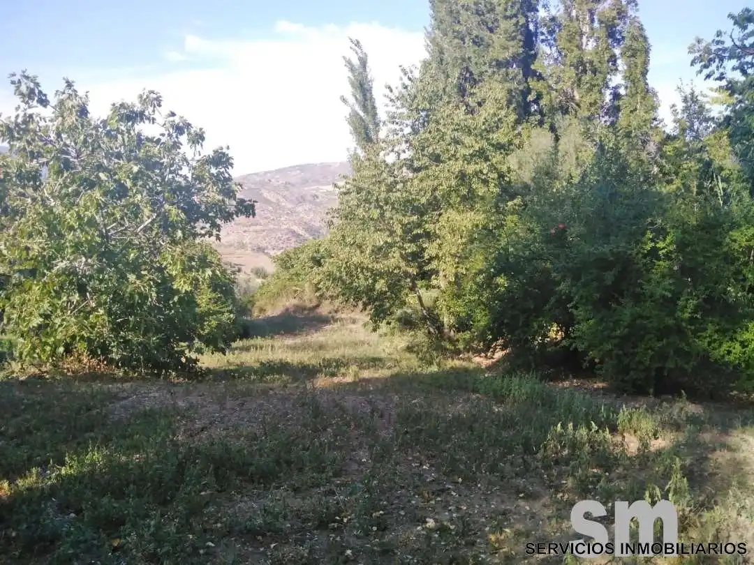 Terreno en venta en Zahara