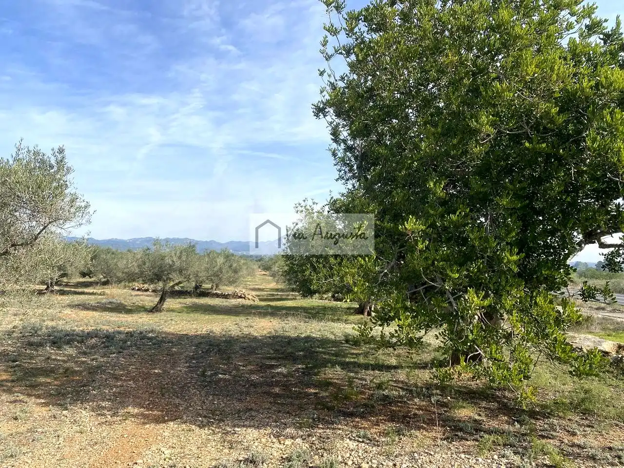 Terreno rustico in vendita a Planas, imagen 21