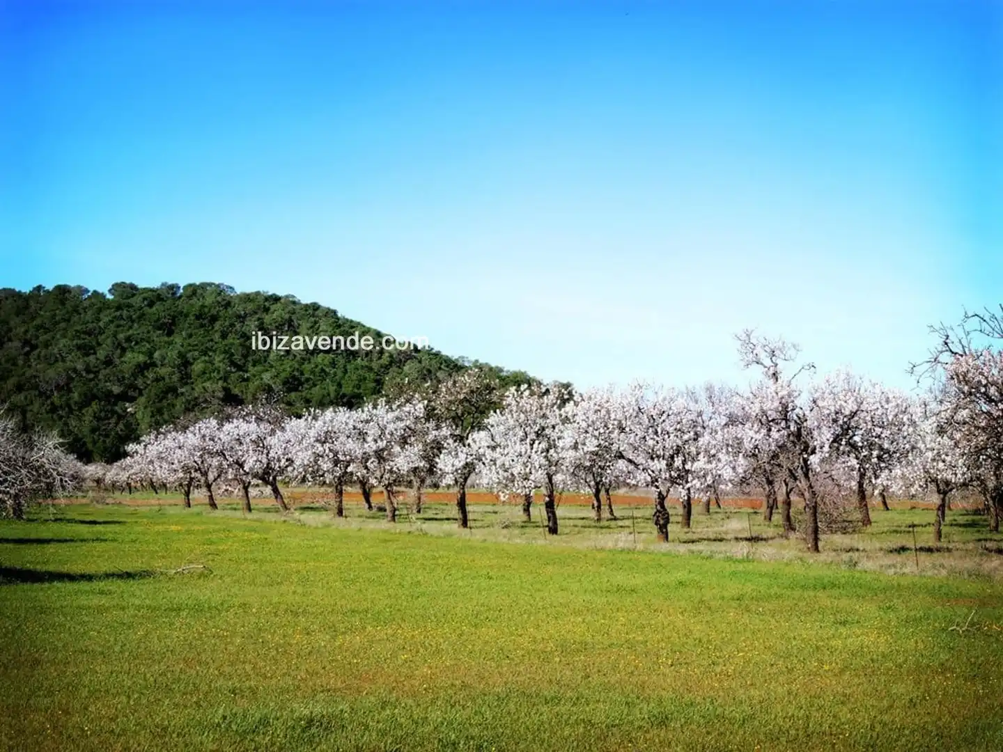 Residential land for sale in San Juan, imagen 2