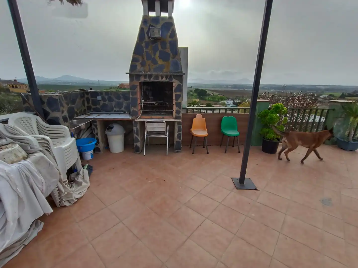 Terreno rústico en venta en Don Álvaro, imagen 6