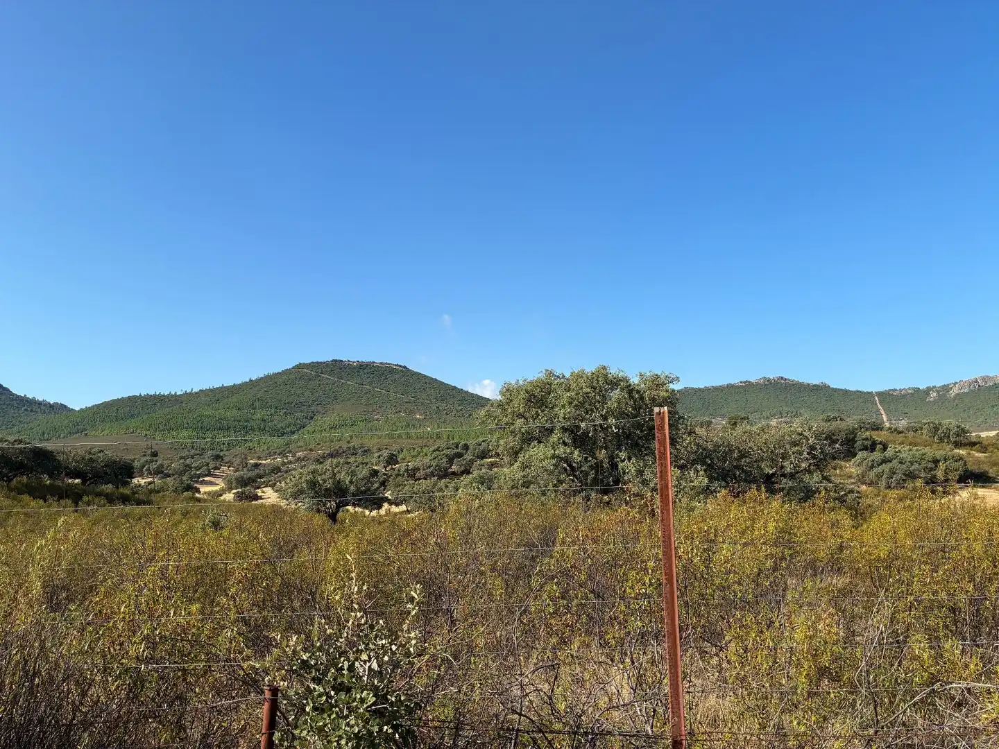 Rural land for sale in Puerto de San Vicente, imagen 18