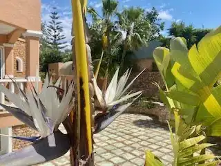 Chalet con jardín en venta en Carrer d'Azorin 3, imagen 3