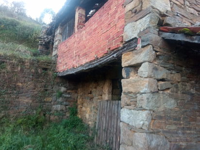 Vista exterior de Finca rústica en venda en Cudillero amb Jardí privat