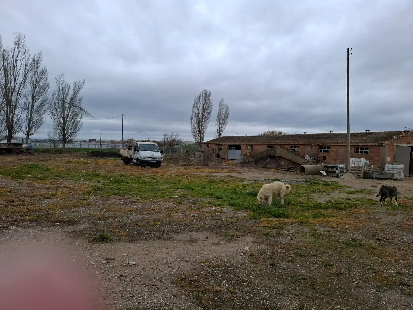 Industrial buildings for sale in Carrer La Font, Linyola