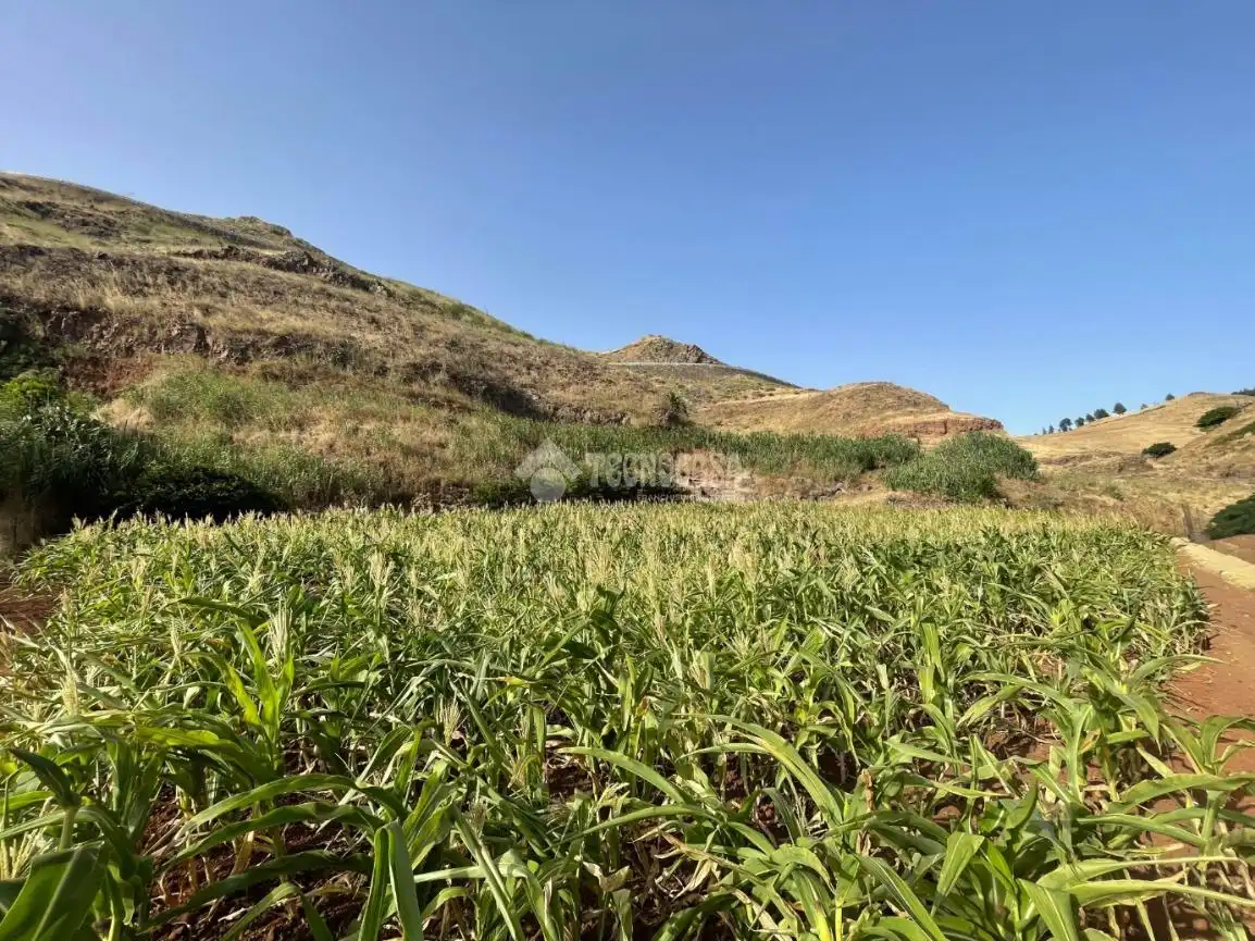 Terreno en venta en Gáldar