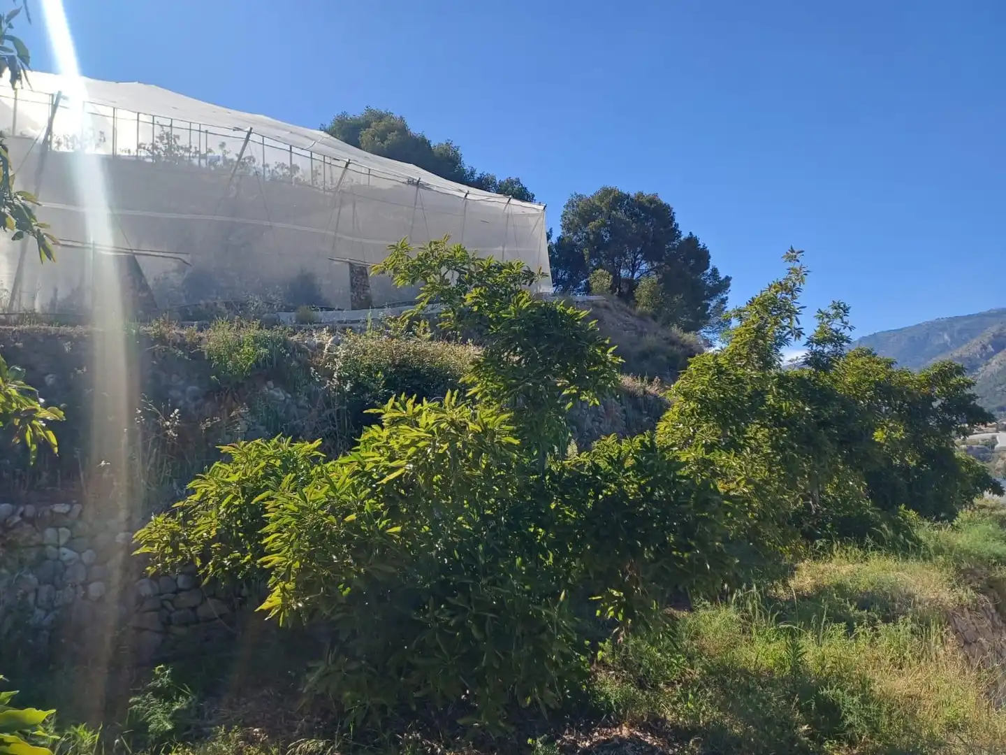 Rural land for sale in Callosa d'en Sarrià, imagen 26