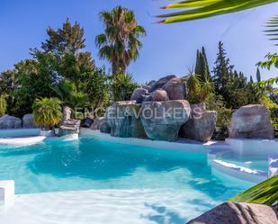 Swimming pool of House or chalet for sale in Alcalá de Guadaira  with Air Conditioner, Swimming Pool and Balcony