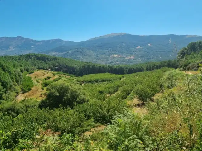 Terreni e lotti in vendita a Mombeltrán