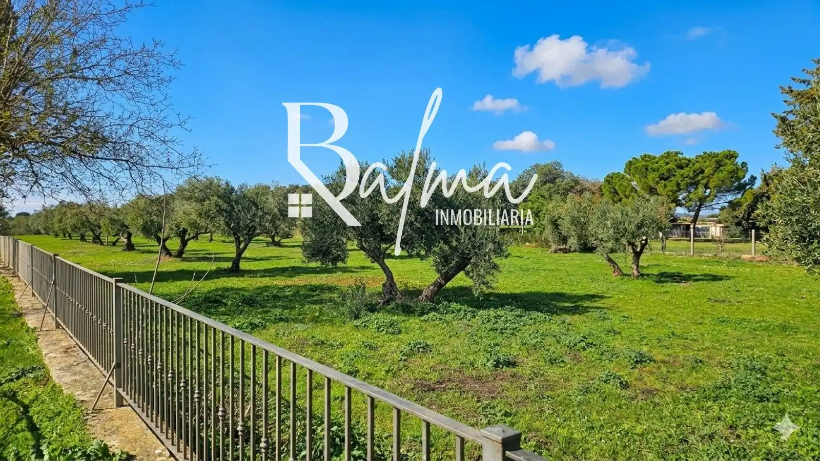 Detached house with pool for sale in Casco Histórico, imagen 54