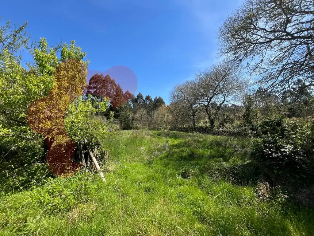 Casa o chalet en venta en Parroquias del Este