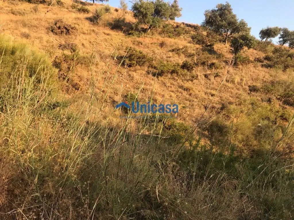 Terreno rustico in vendita a Puerto de la Torre - Atabal, imagen 3