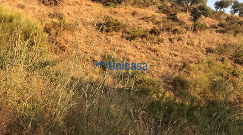 Foto 3 de Terreny en venda a Fuente Alegre - El Chaparral - Los Morales, Málaga Capital