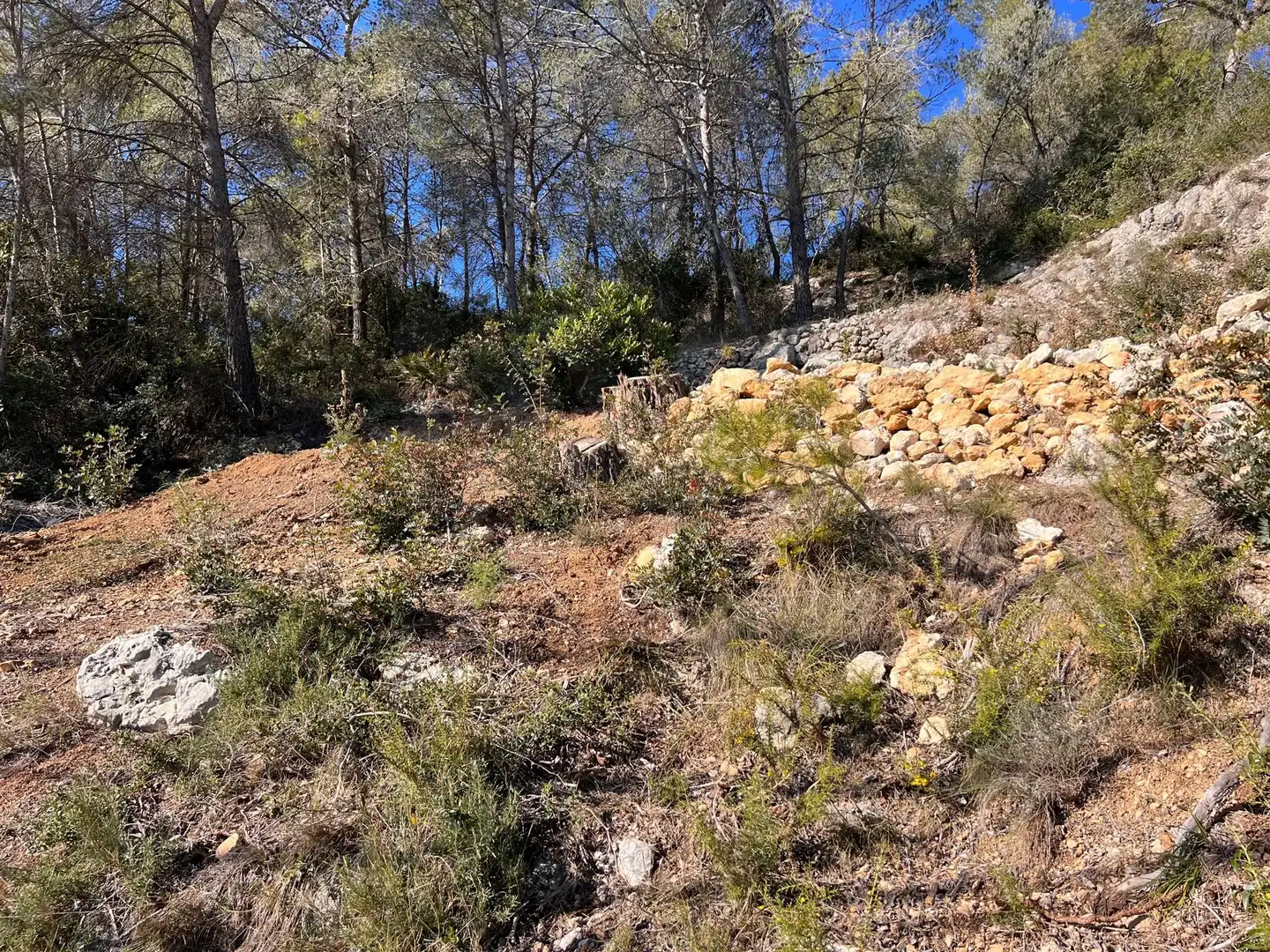 Residential land for sale in Olivella, imagen 16