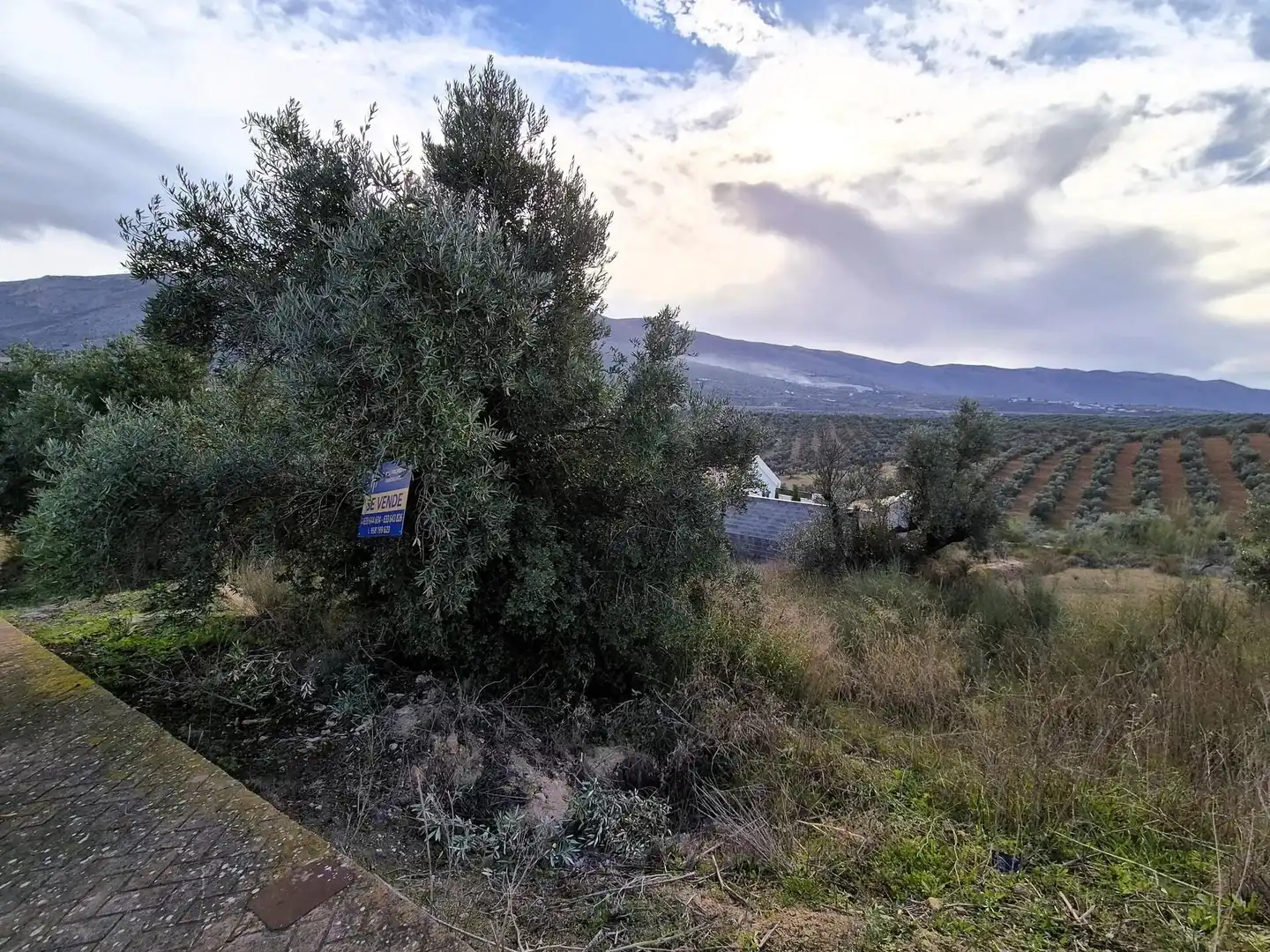 Terreny residencial en venda a Loja, imagen 9