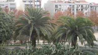 Foto 5 de Àtic en venda a Centre, Mataró