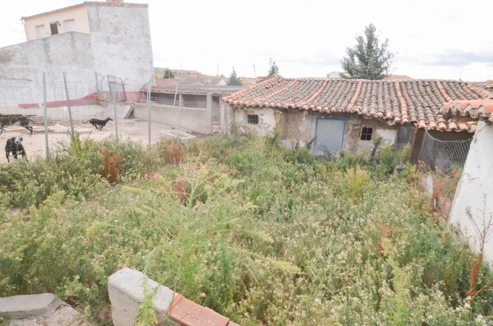 Casa o xalet en venda a Macotera