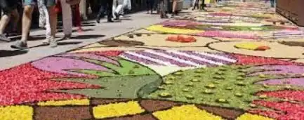 Casa rústica amb jardí en venda a Arbúcies, imagen 141