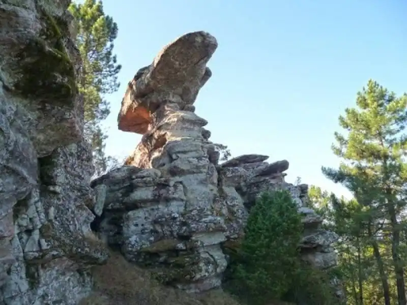 Garden of Land for sale in Cuenca
