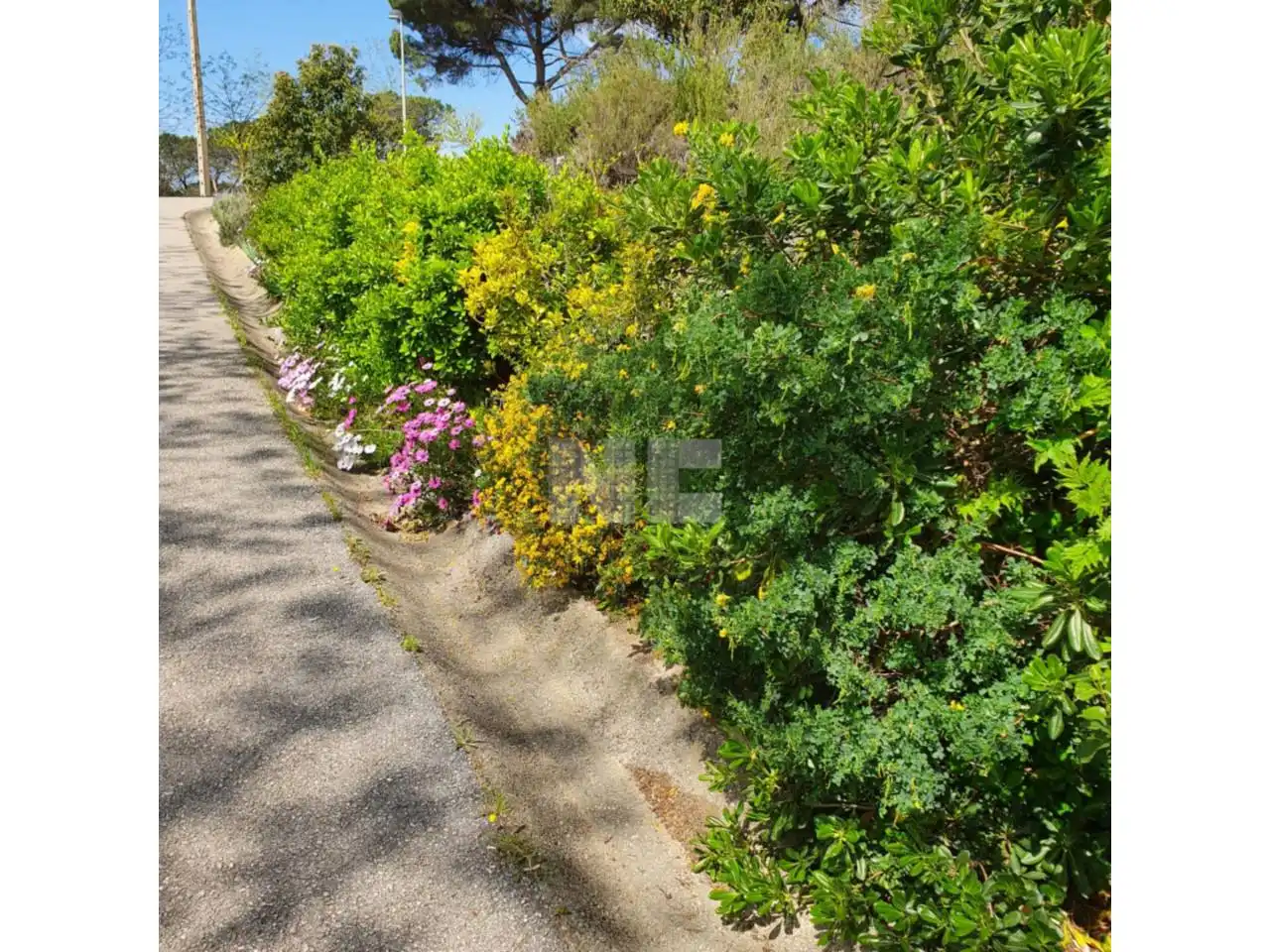 Rural land for sale in Vilanova del Vallès, imagen 7