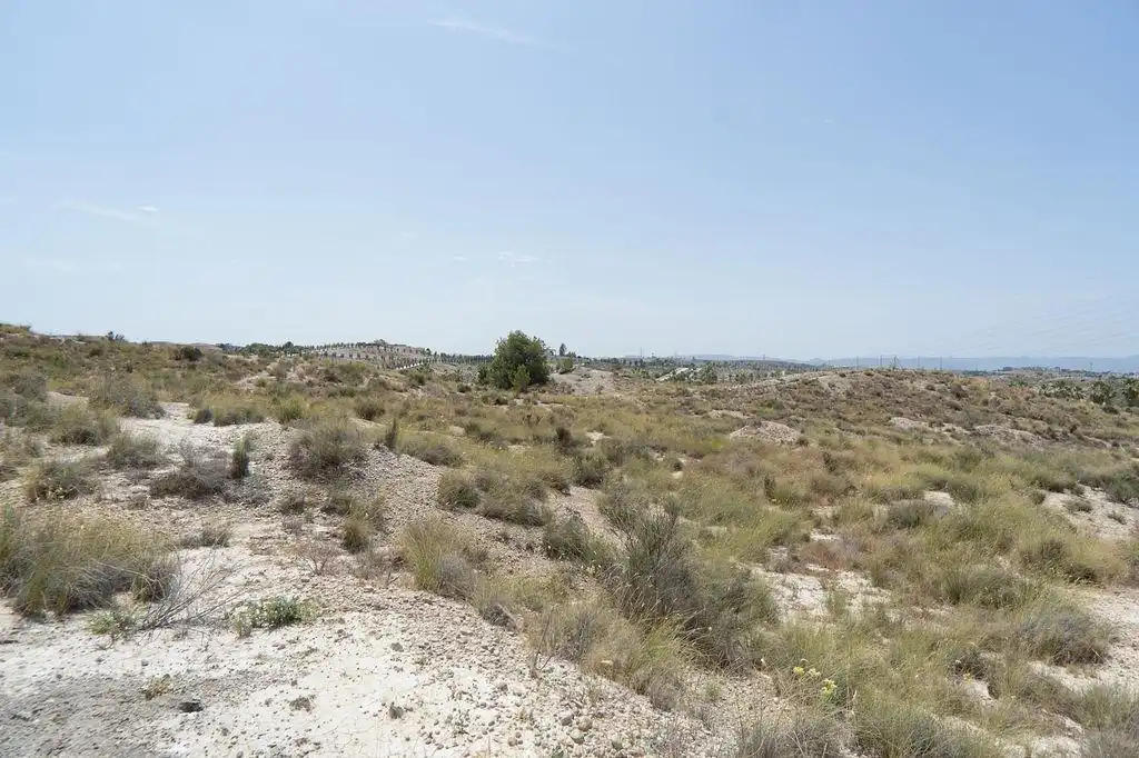 Terreny residencial en venda a Altorreal - El Chorrico, imagen 9