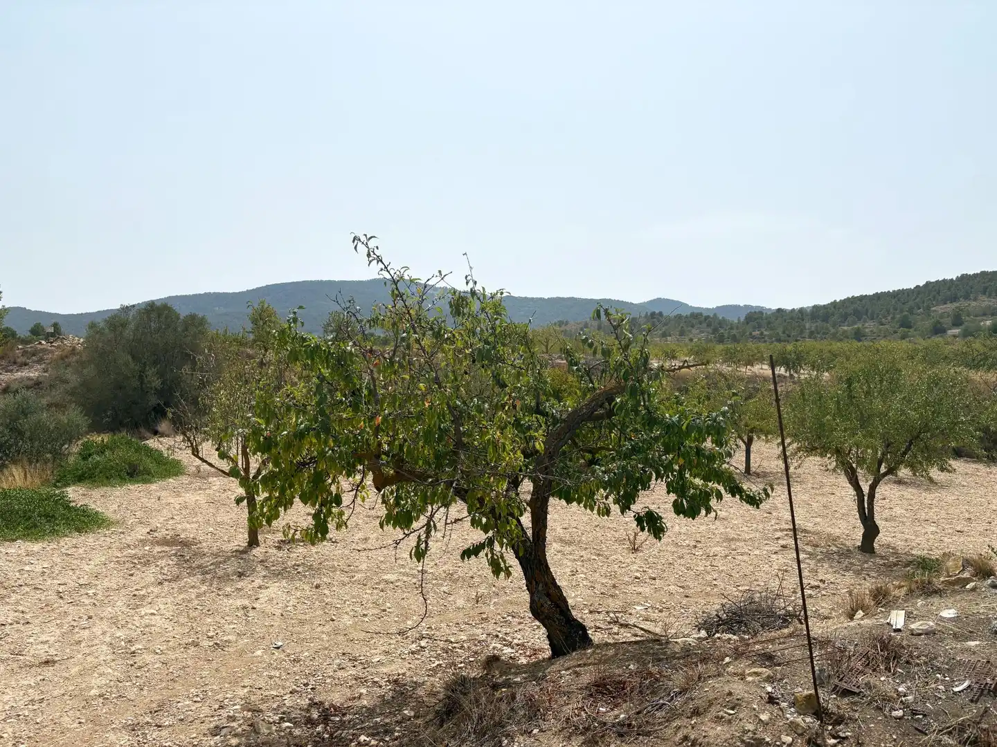 Country house for sale in Camino Ch Xirivell, imagen 12