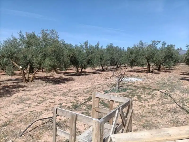 Terrenys i solars en venda a Polígono LA ZANJA, imagen 11