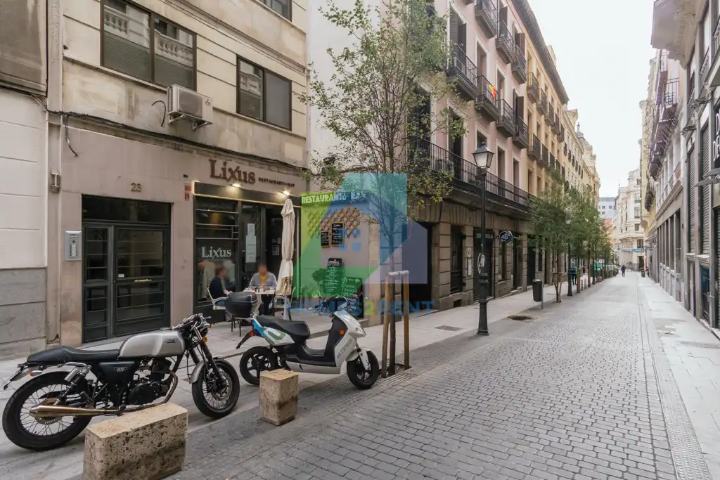 Pis amb ascensor de lloguer a Calle de la Reina 25, imagen 2