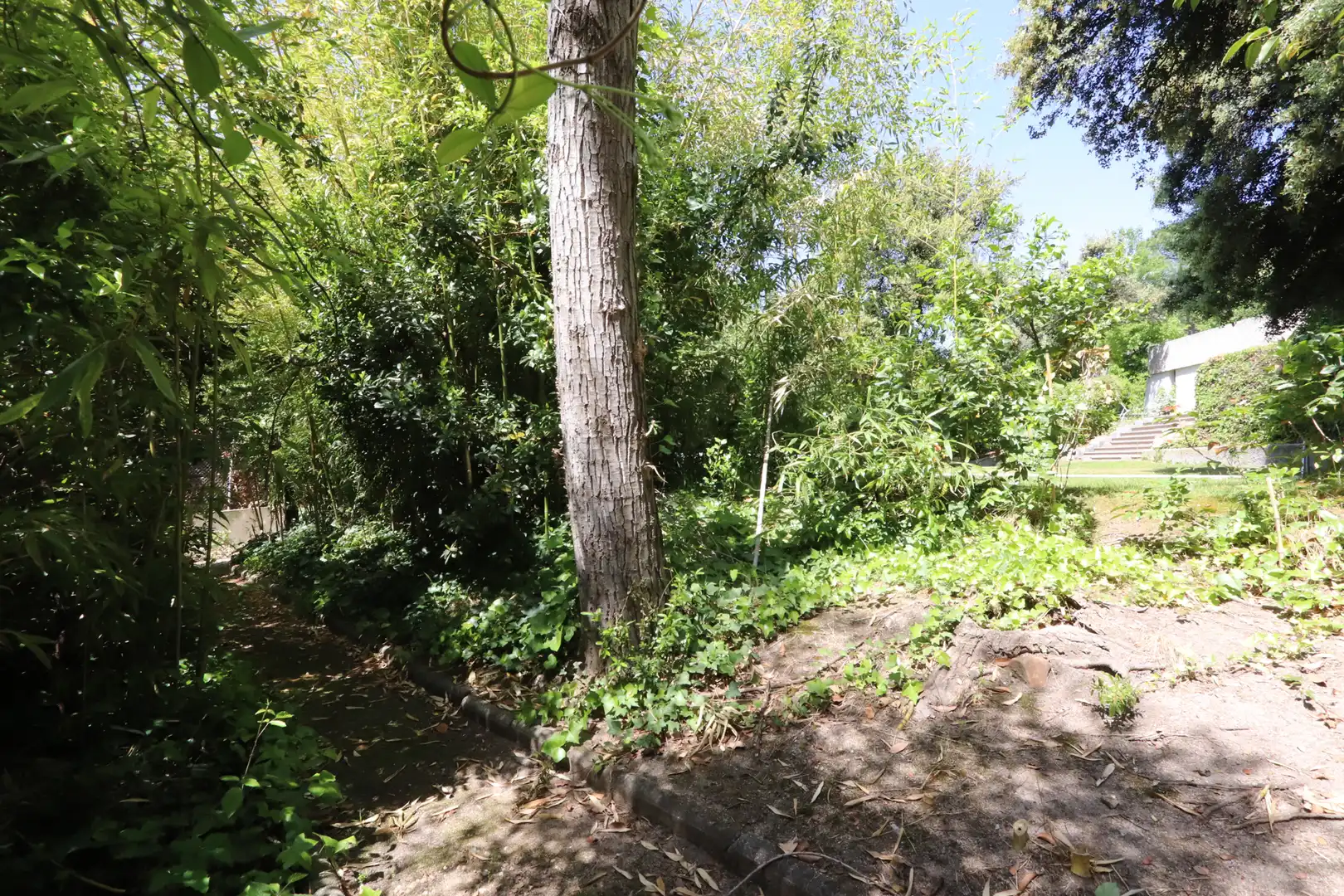 Villa avec terrasse à vendre à Urbanización La Moraleja, imagen 18