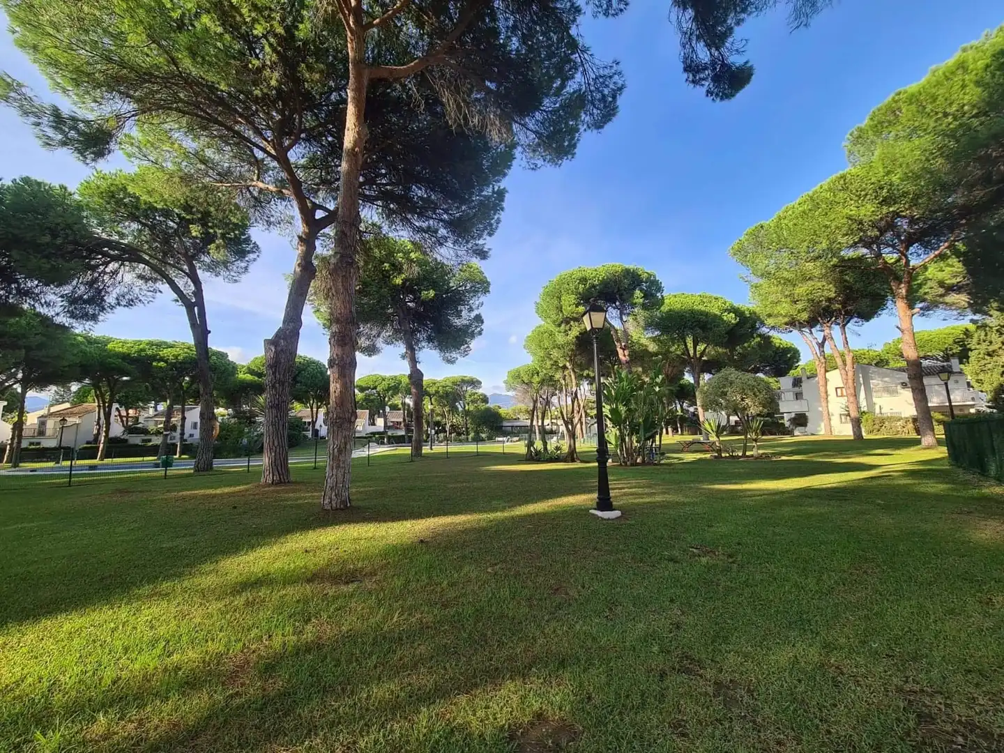 Vista exterior de Planta baja en venta en Estepona con Aire acondicionado, Trastero y Piscina