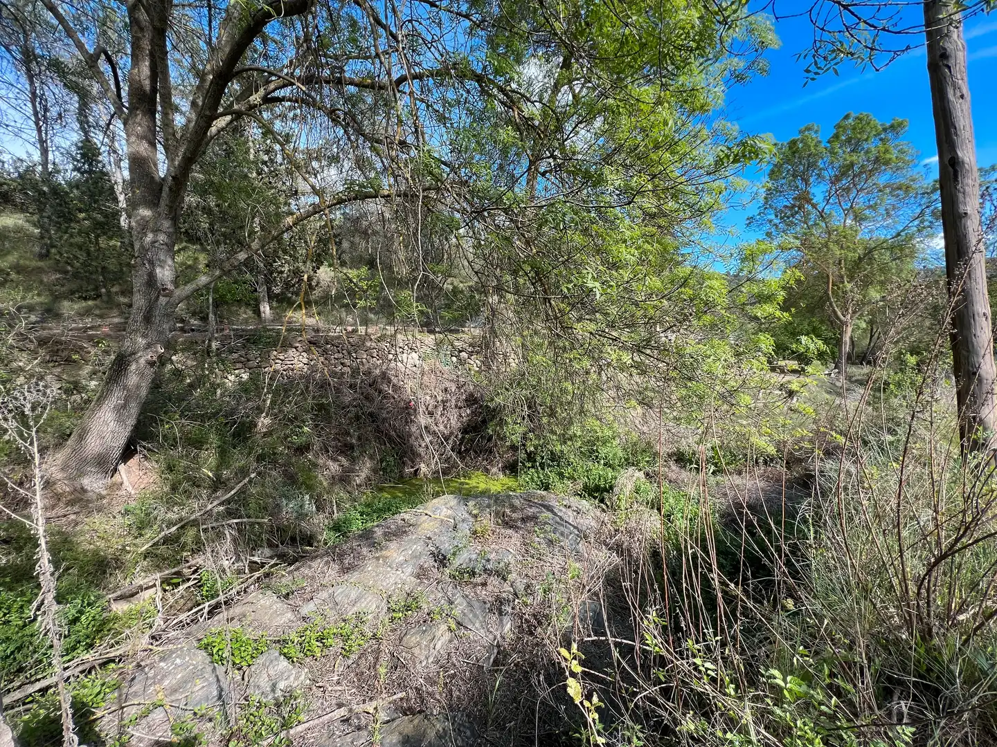 Rural land for sale in Cornudella de Montsant, imagen 14