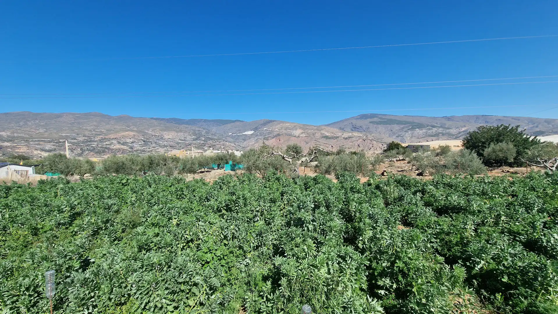 Casa rústica en venda a Canjáyar, imagen 17
