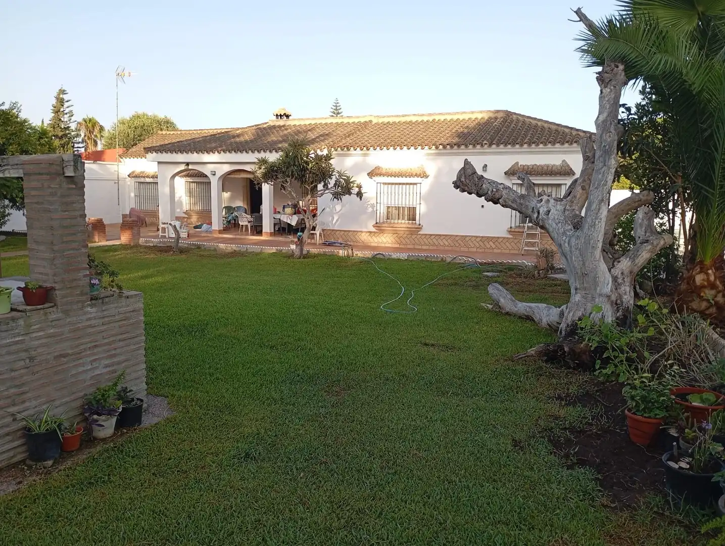Jardín de Casa o chalet en venta en Chiclana de la Frontera con Jardín privado y Piscina comunitaria